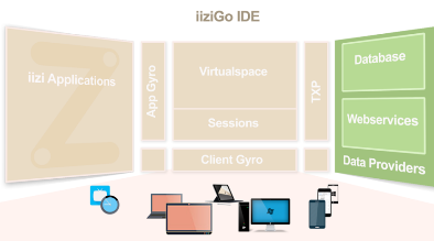 IIZI Platform Structure